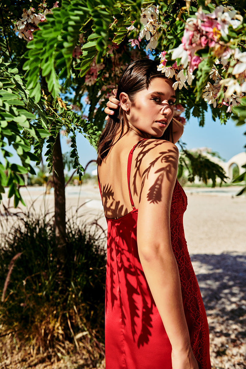 Petals & Lace