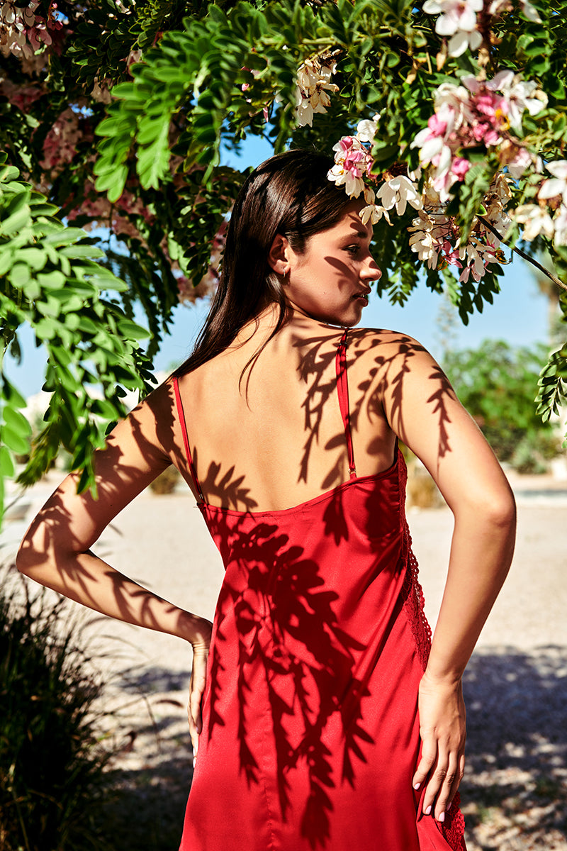 Petals & Lace